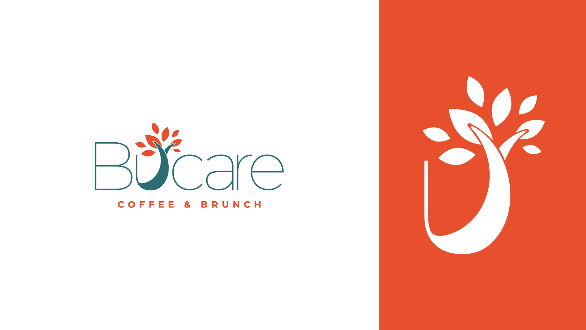 Bucare — Vista 2