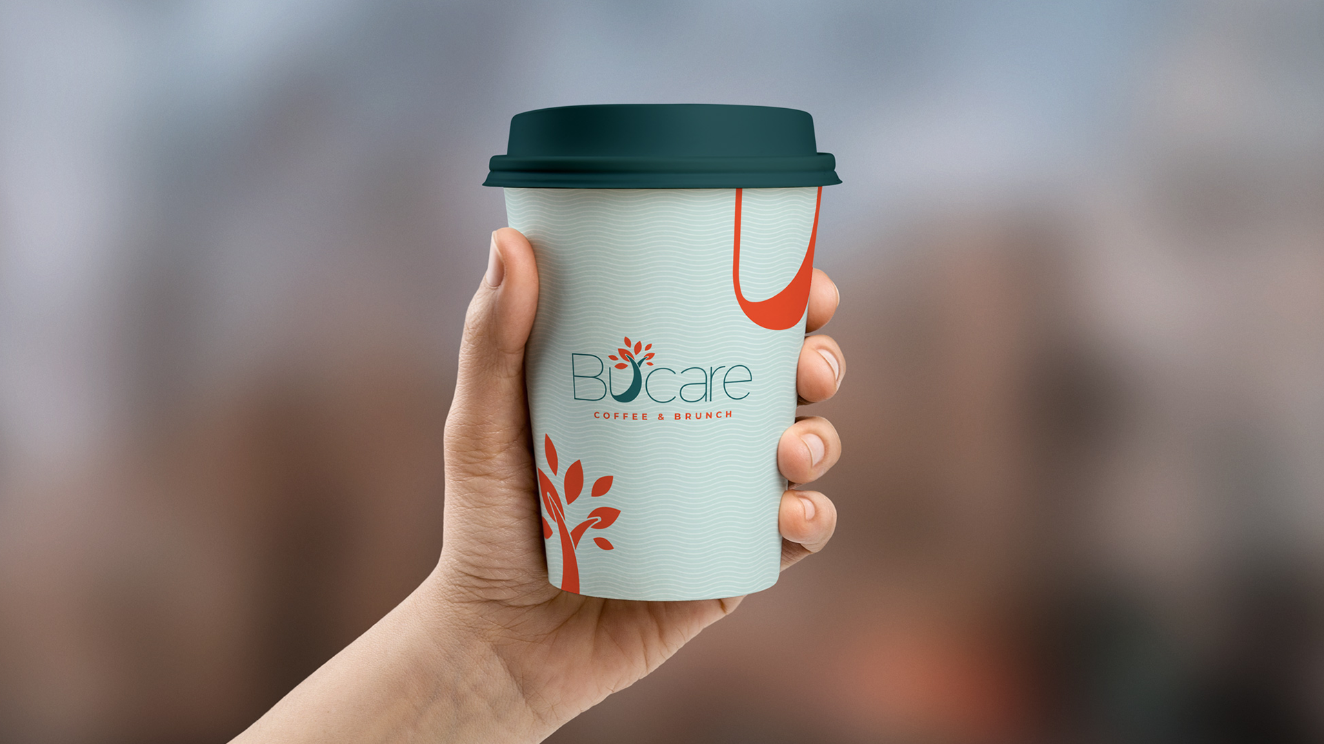 Bucare — Vista 3